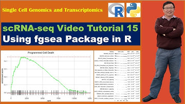 Seurat Video Tutorials--Video 15: Using fgsea Package in R