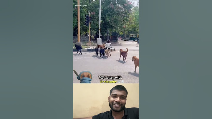 Z+ Security 😳 #trending #zplussecurity #gang #gunda #dog #comedyfilms #uttrakhnd