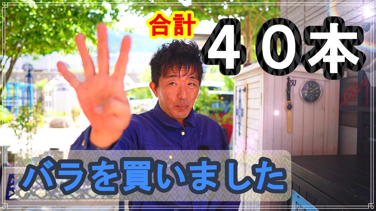 厳選品種】また大量にバラを買ってしまった。。 - YouTube