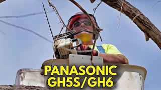 PANASONIC LUMIX GH6, GH5S REVIEW - High Country Tree Services, Produced by Larry R. Cappetto.