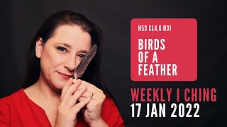 Birds of a Feather // Weekly I Ching 17-23 Jan 2022 // Hexagram 53 & 31