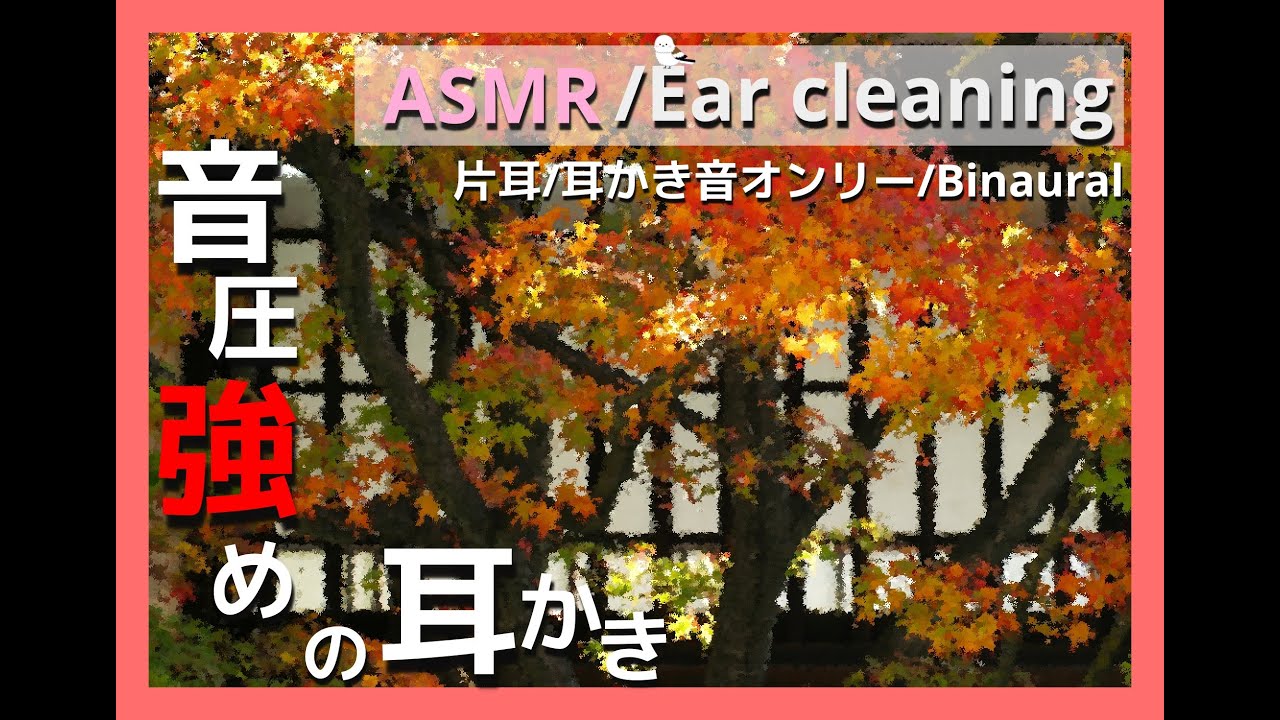 【ASMR/Ear Cleaning/Binaural】涼しくなった夜のおともに…【片耳版/耳かき音/イヤホン必須】