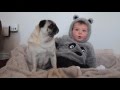 Adorable baby cuddling pugs becomes Insta-famous