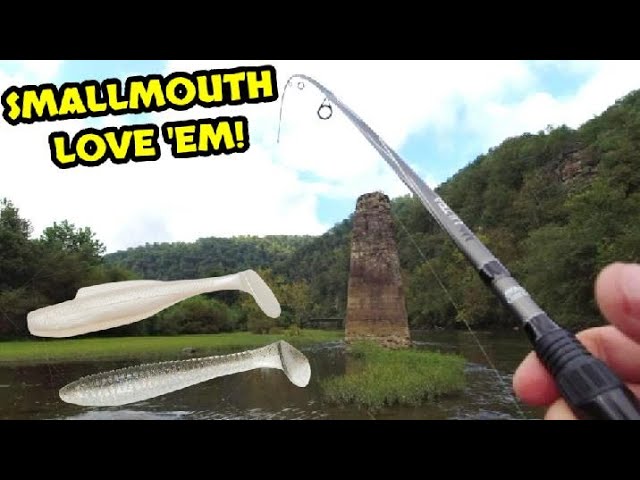 Pike and Smallmouth Bass Can't Resist Paddle Tail Swimbaits! 