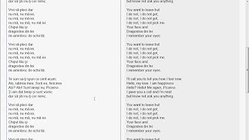 Numa Numa Google