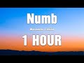 Marshmello & Khalid - Numb / Lyrics ( 1 HOUR )