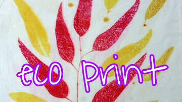 How to Make Eco print on Fabric - Eco Printing Fabric Tutorial - Eco Printing with streamer ep.4