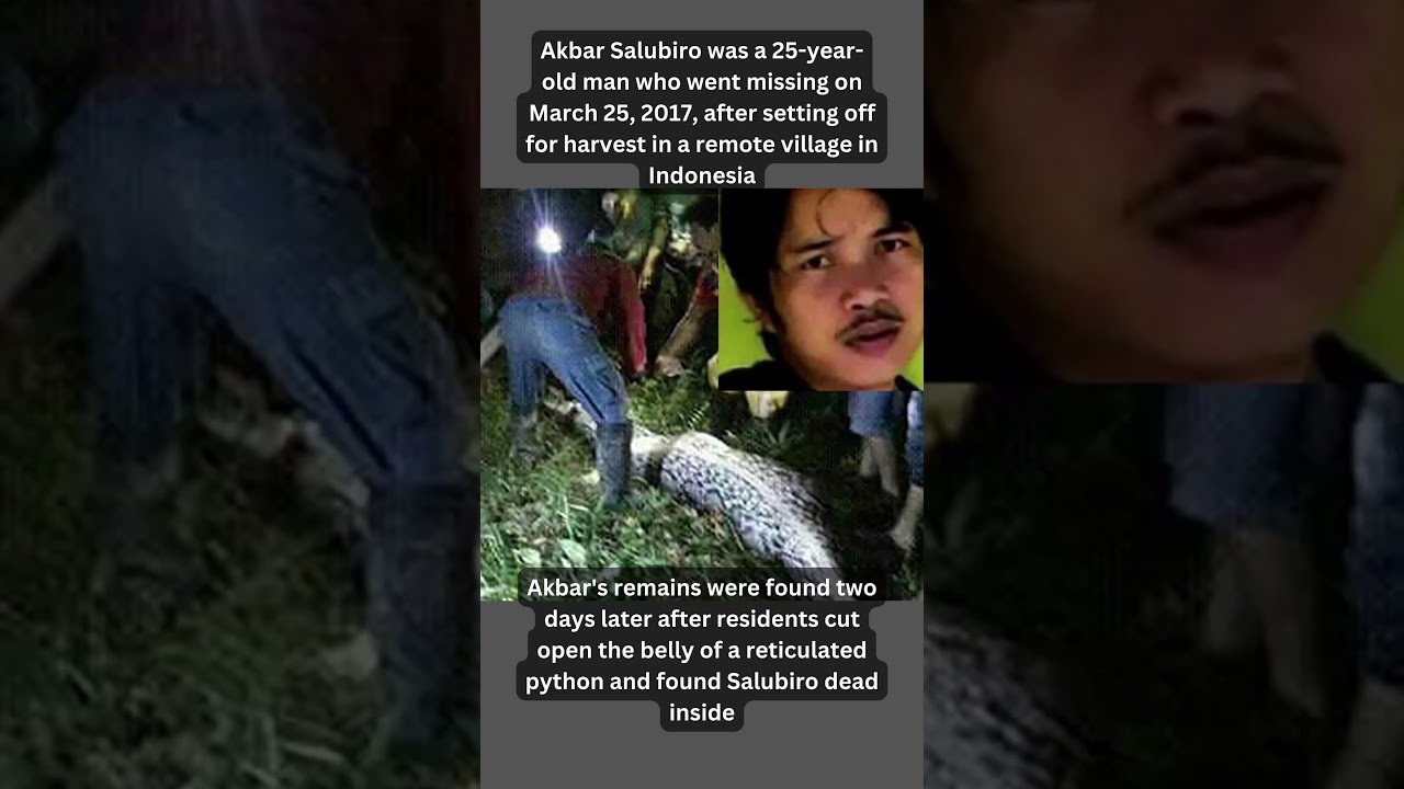 Interesting Things That You Probably Didn't Know 