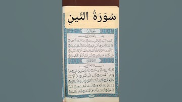 سورة التين  #المصحف #قرآن #اكسبلور #islamicvideo