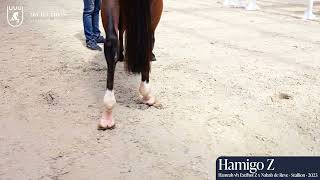 Hamigo Z