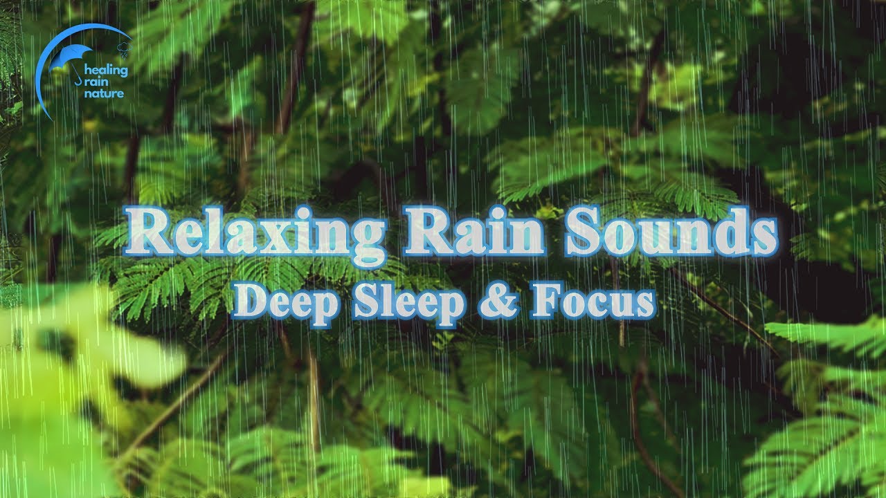 Relaxing Rain Sounds for Deep Sleep and Focus | Heavy Rain in Nature 8 ...