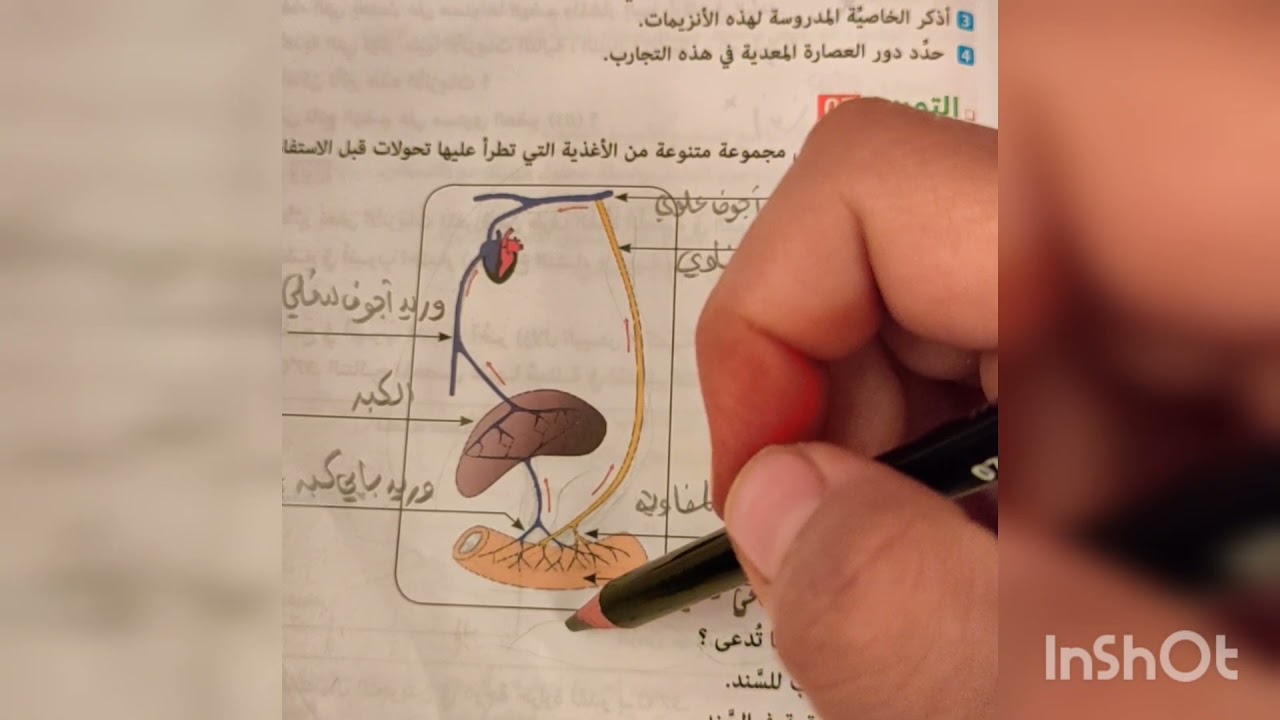 حل تمرين حول امتصاص المغذيات