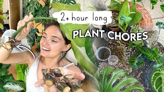 2+ HOURS(!!) of Plant Chores 🌱 Long Houseplant To-Do's Vlog | do plant chores with me