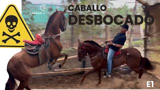 Caballo retacador y peligroso  se traga el freno  E1