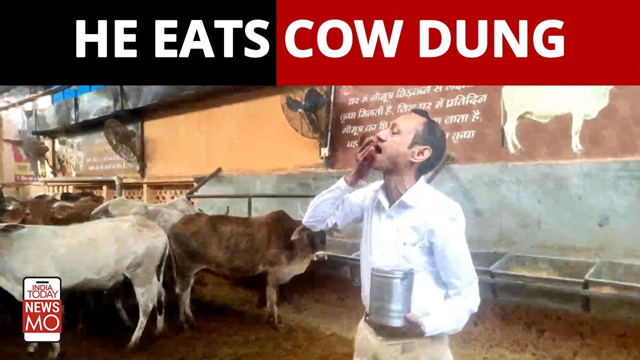 Haryana Doctor Recommends Eating Cow Dung To Pregnant Women | NewsMo -  YouTube