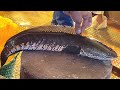 Amazing Big Sola Fish Cutting Skills Live In Fish Market | Fish Cutting Skills