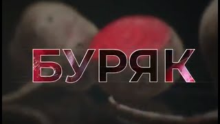 Буряк. Мій борщ