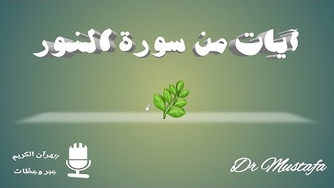 "سورة النور: آيات تهدي إلى فضيلة غض البصر والحجاب"