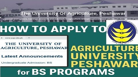 📌 🎓 How to Apply Online for BS Programs– Agriculture University Peshawar| 2025 Admissions Full Guide