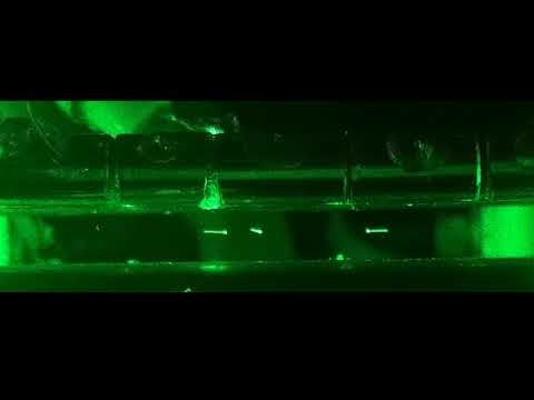 Coulomb Crystal - playing in a segmented linear Paul Trap