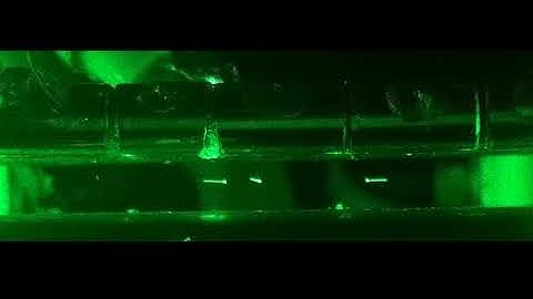 Coulomb Crystal - playing in a segmented linear Paul Trap