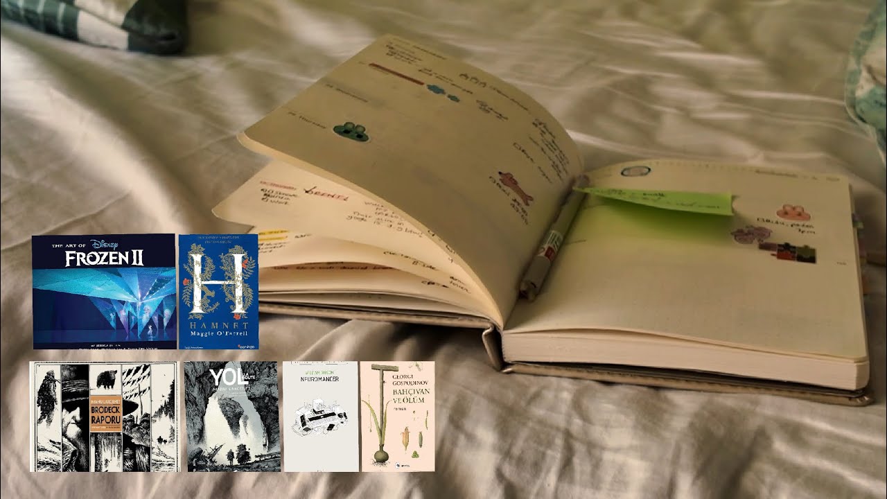 kitap ve sticker alışverişli ocak vedası ‧ᵎᵎ ❄⋅˚✮