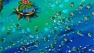 Weather Ball Venusaur Is Amazing Pokemon Showdown Online Match In The Ou Tier