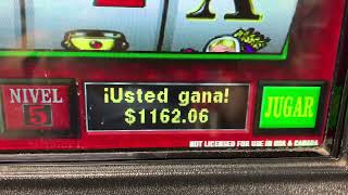 Royal Reels Slots Hialeah . Jackpot 50 cents spin screenshot 3
