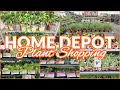 HOME DEPOT PLANT SHOPPING HERBS VEGETABLES FRUITS