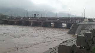 Pimka 8 Kupiri Doera Toshgan