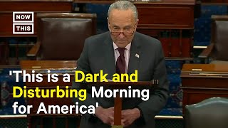 Chuck Schumer's Remarks on Roe v. Wade Leak