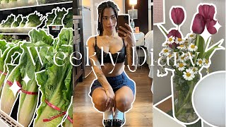 GETTING MY LIFE TOGETHER VLOG 🍰 | Working Out, Grocery Shopping, Journaling & More Content