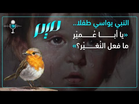 النبي يواسي طفلا يا أبا عمير ما فعل النغير