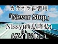 【カラオケ】Nissy(西島隆弘)「Nevep Stop」off vocal