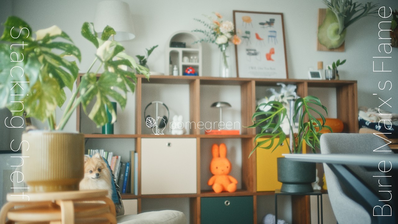 にゃる　インテリア Styling My Room with MUJI Stacking Shelf & FLAP | Repotting
