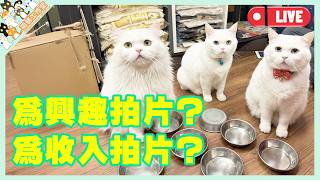 直播－為興趣拍片？為收入拍片？孤貓投資公司！【孤貓工作室】