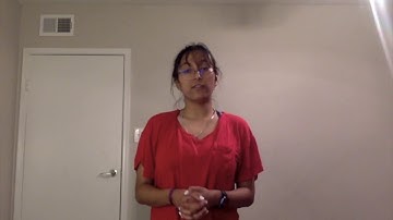 SPCH 1311- Informative Speech