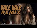 Vale Vale Remix 2023 I Hedi Hedi Arabic Remix
