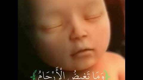 حالات واتس اب قران كريم | تلاوت تطمئن القلوب  ❤🍃