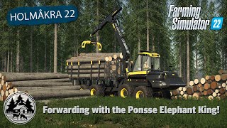 TREE HARVESTING AND FORWARDING WITH PONSSE! | FS22 | Forestry | Holmåkra 22 | Timelapse | E18