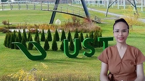 Rủi ro khi đầu tư vào công nghệ uST và cách giảm thiểu.