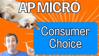 8 Minutes to Master Marginal Analysis & Consumer Choice for AP Micro