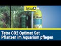 Tetra CO2 Optimat Komplettset | Pflanzen im Aquarium pflegen