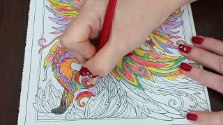 : ASMR Enchanted Coloring Book 45