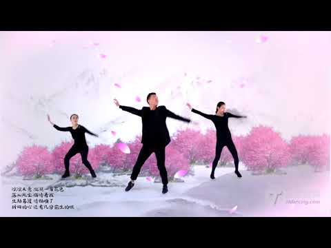 開始Youtube練舞:涼涼- | Dance Mirror