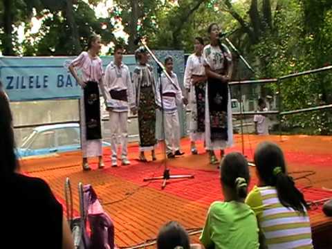 SCOALA CU CLS i-VIII GHIDICI. GHINCEA IULIANA INTERPRETARE