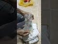 pin blp729 trả về