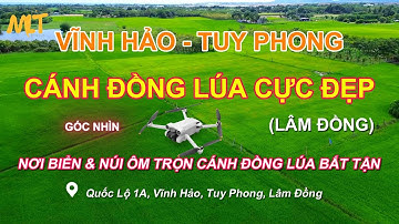 Cơm Nguội: Tập 52 Flycam Cánh Đồng Lúa Tuy Phong #tuyphong #diengio #canhdonglua #flycam