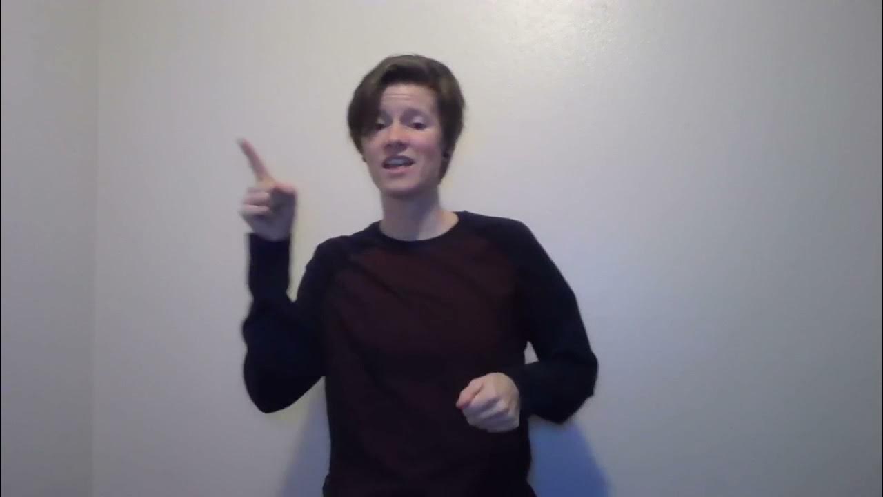 Weezer "Pork and Beans" ASL music video YouTube