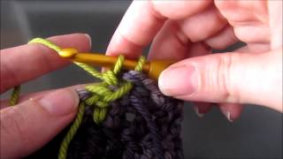 How to Crochet the Left Branch on the Wrong Side Stitch